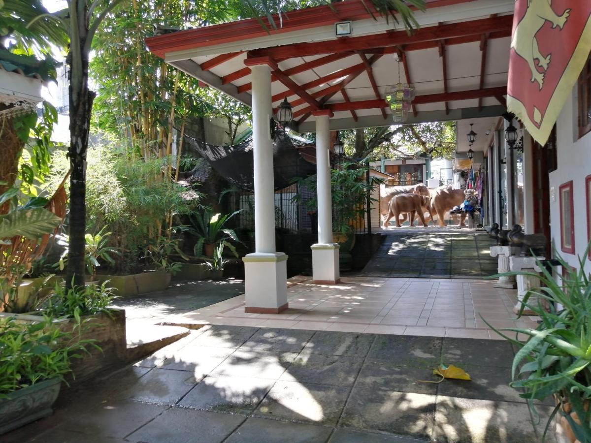 Guest house Land Pinnawala (Kegalle)