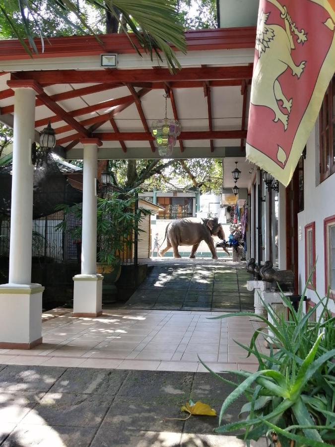 Guest house Land